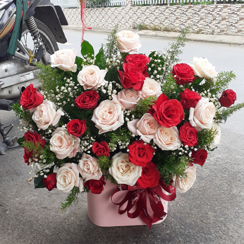 Shop Hoa Lộc Ninh Bình Bình Phước