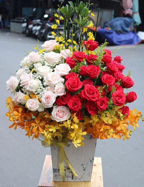 Shop hoa Bắc Bình Bình Thuận