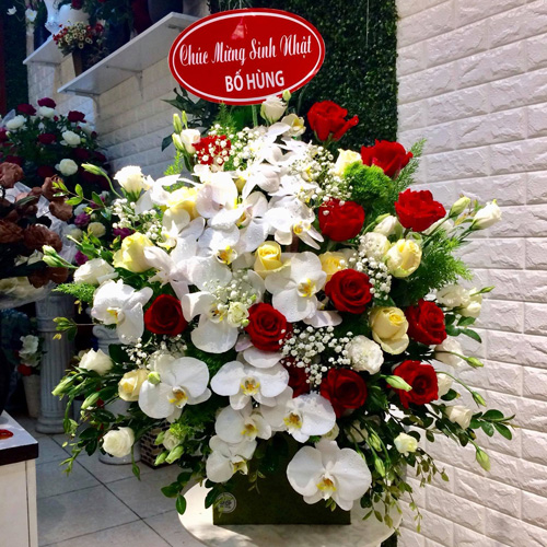 Shop hoa Đức Linh Bình Thuận