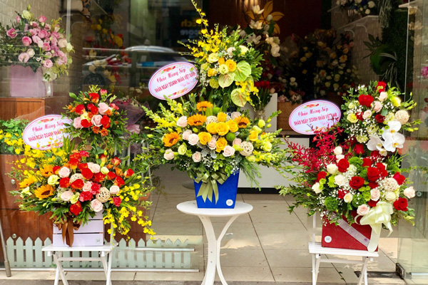 Shop hoa Vĩnh Thạnh Cần Thơ