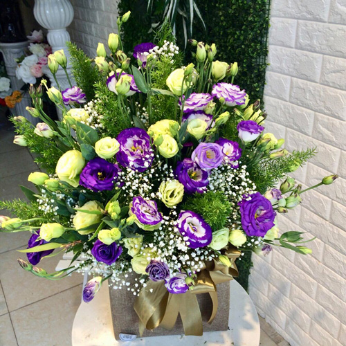 shop hoa tươi Bảo Lâm Cao Bằng