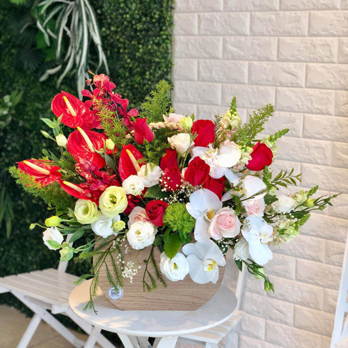 Shop Hoa Thạch An Cao Bằng