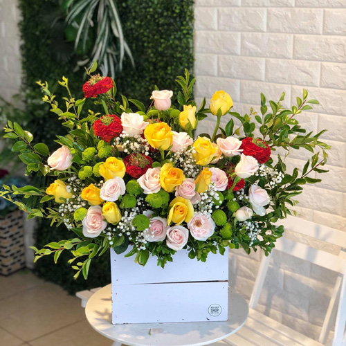Shop hoa tươi Thông Nông Cao Bằng