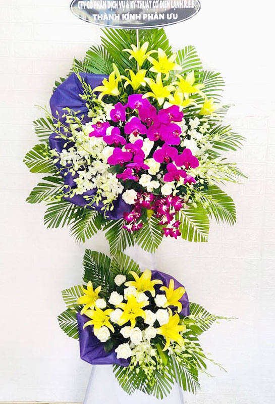 Hoa tươi Điện Biên