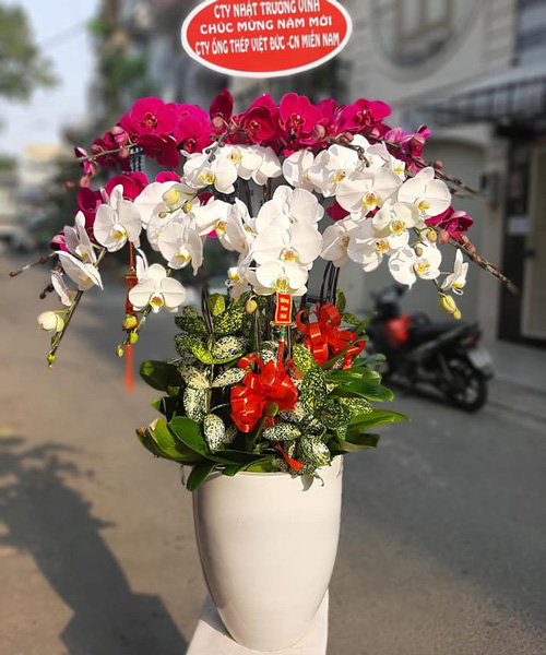 Shop hoa tại Nhơn Trach Đồng Nai