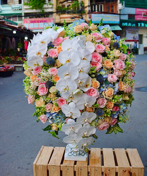 Shop Hoa Tươi Hồng Ngự Đồng Tháp