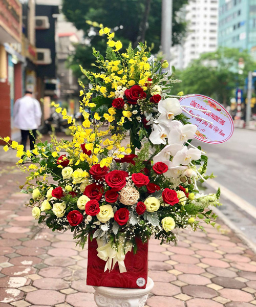 shop hoa Thanh Bình Đồng Tháp