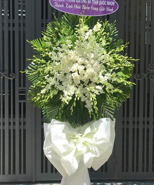 Shop Hoa Tươi tại An Khê Gia Lai