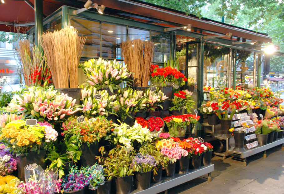 Shop hoa tươi tại Hà Tĩnh