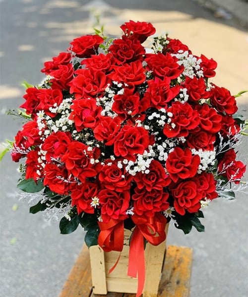 Shop Hoa An Dương Hải Phòng