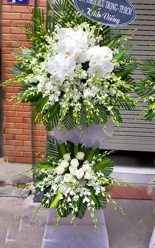 Hoa Tươi Bạch Long Vĩ Hải Phòng