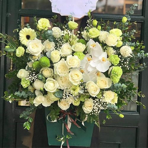 Hoa Tươi Hải An Hải Phòng