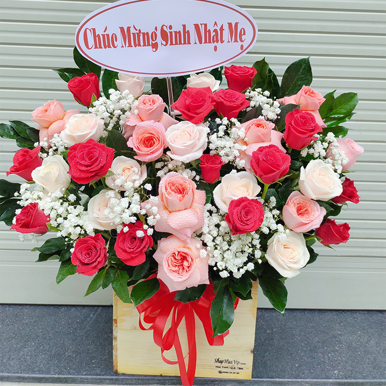 hoa tươi Hải Phòng