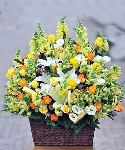 Shop Hoa Hồng Bàng Hải Phòng