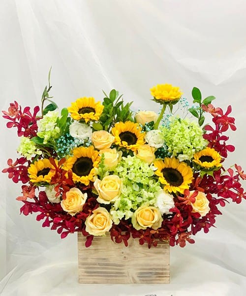 Shop Hoa Tươi Kiến An Hải Phòng