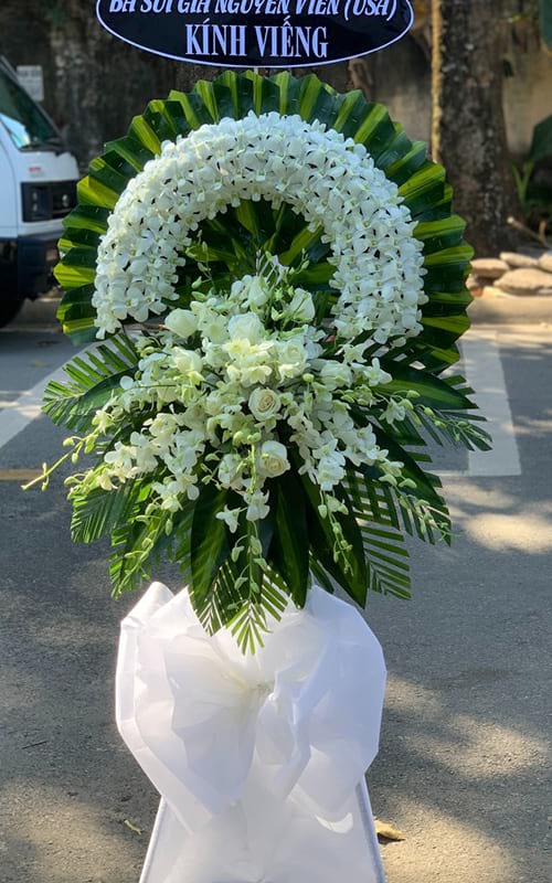 Shop Hoa Kiến Thụy Hải Phòng