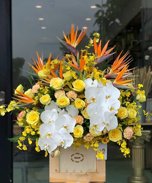 Shop Hoa Lê Chân Hải Phòng