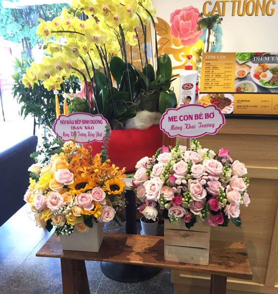 Tiệm hoa tươi Hòa Bình