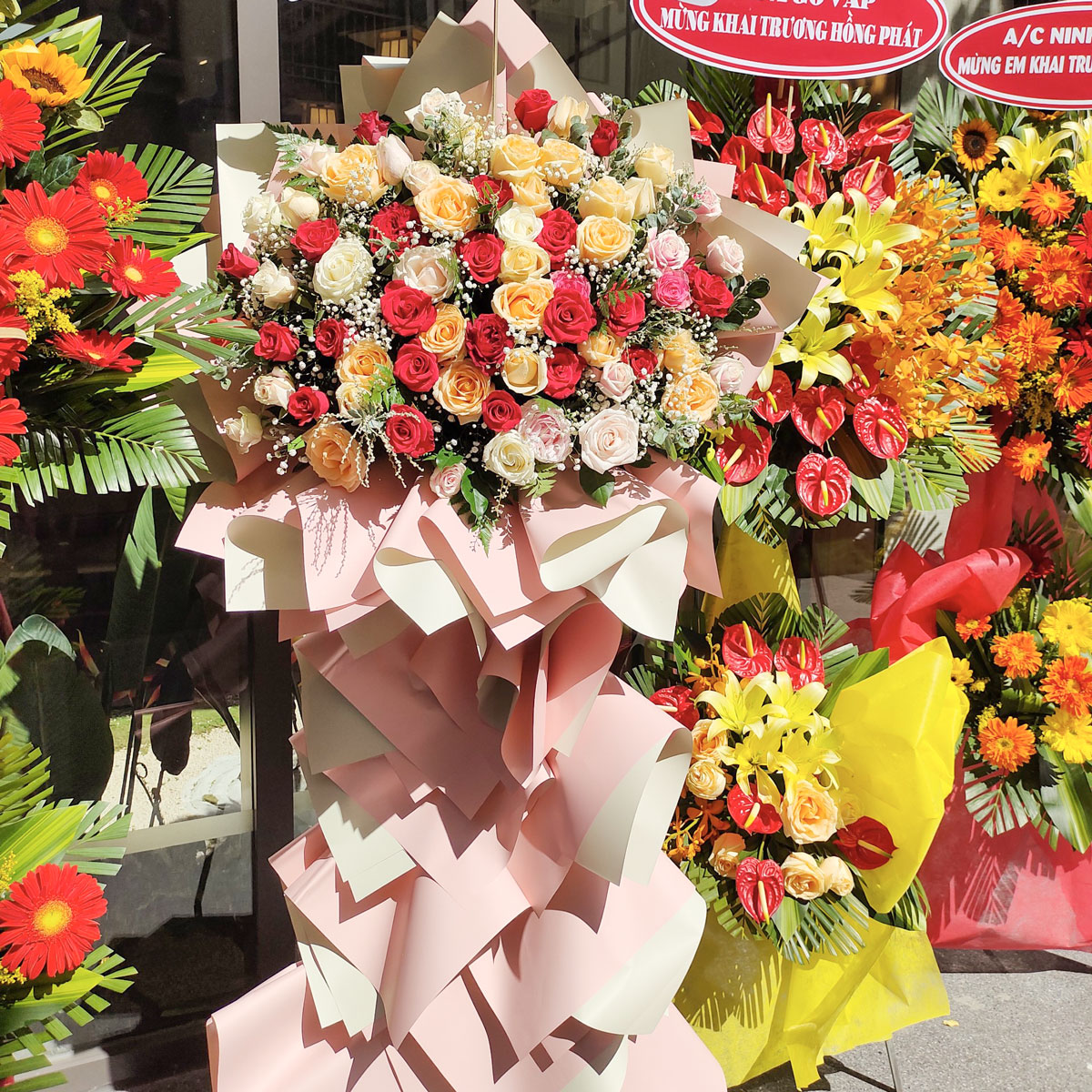 Hoa tươi Lâm Đồng