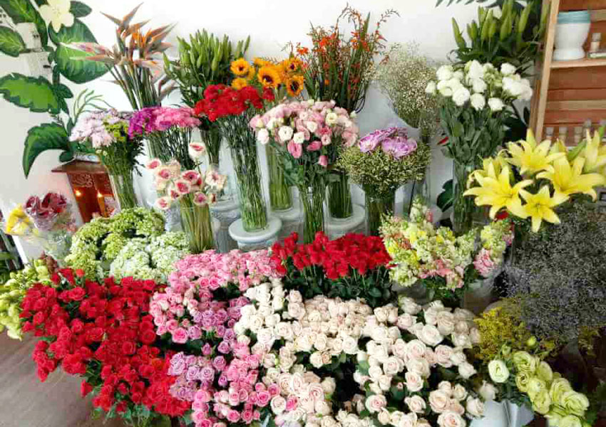 Shop hoa tươi ở Lạng Sơn