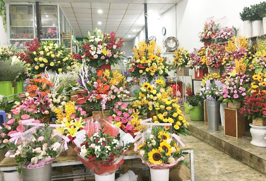 Điện hoa Nam Định