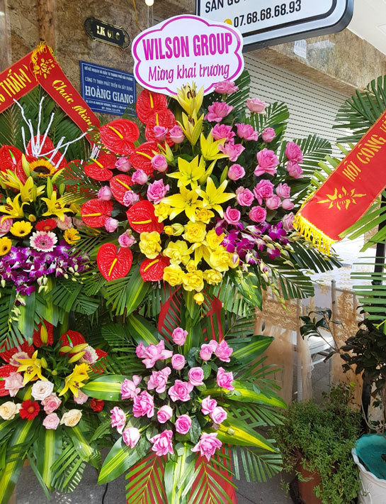 Tiệm hoa tươi Ninh Bình