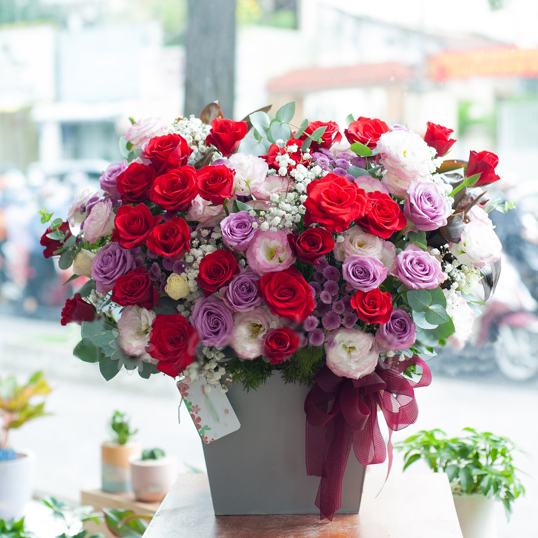 điện hoa Phú Thọ