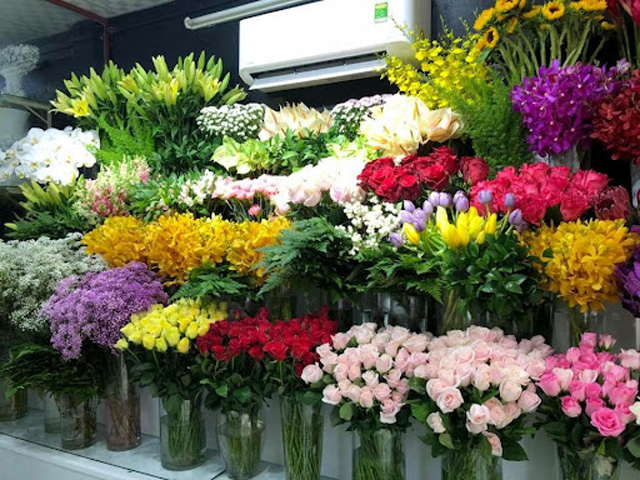 Hoa tươi Việt Trì