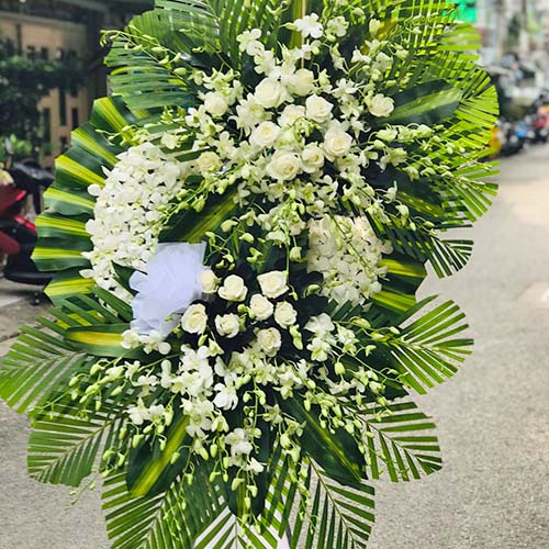 Shop hoa tang Tây Ninh