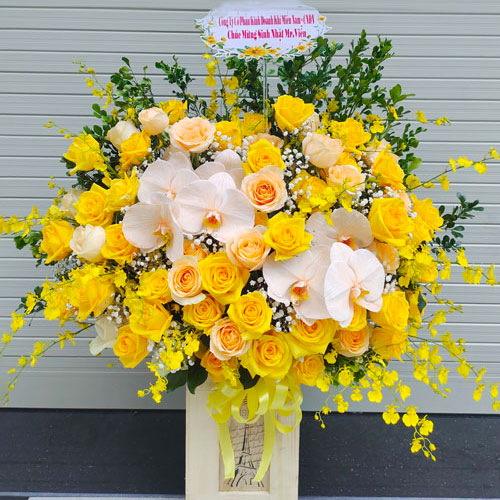 hoa tươi tây ninh