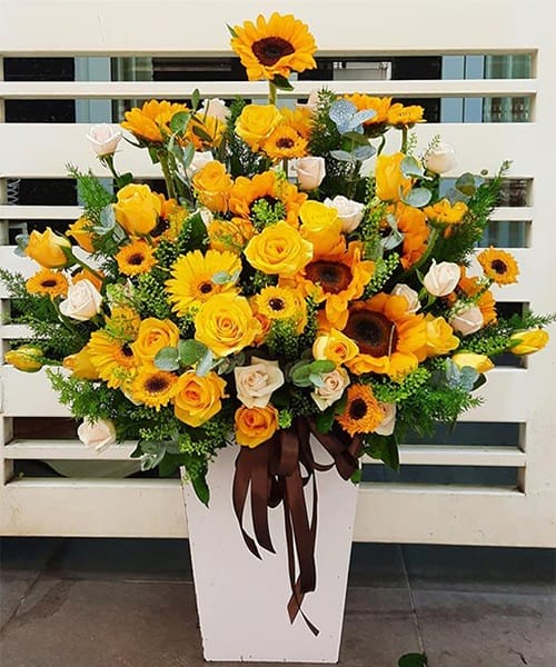 Shop Hoa Đông Sơn Thanh Hóa