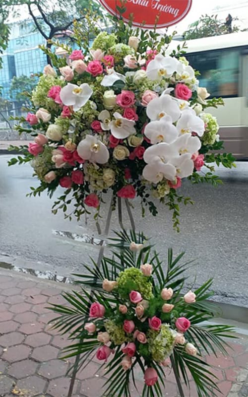 Shop Hoa Tươi ở Quan Hóa Thanh Hóa