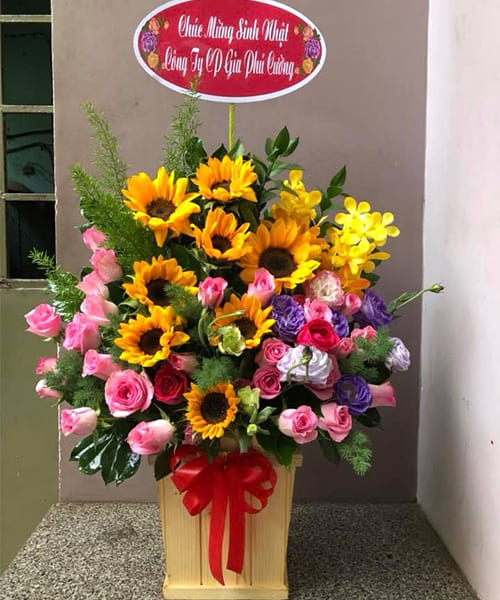 Shop Hoa Quan Sơn Thanh Hóa