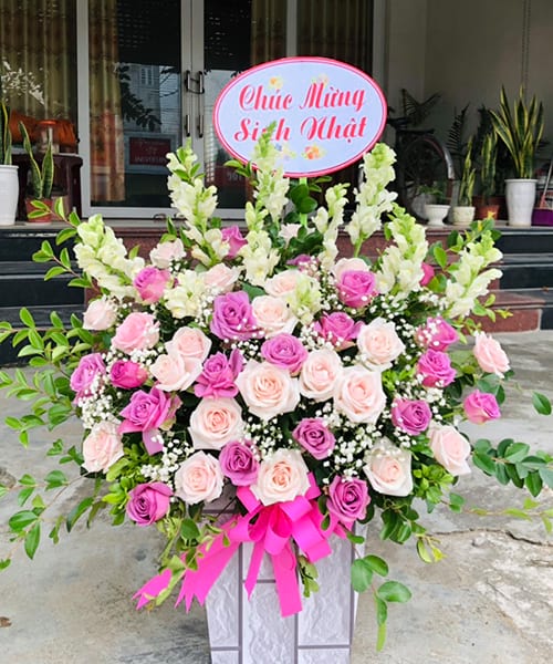 shop hoa Tĩnh Gia Thanh Hóa
