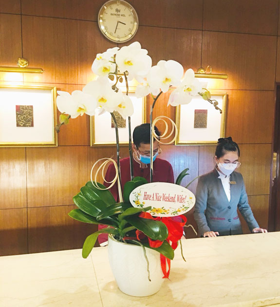 Lan hồ điệp màu trắng