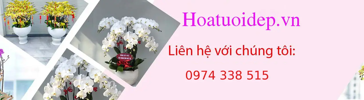 https://hoatuoidep.vn/