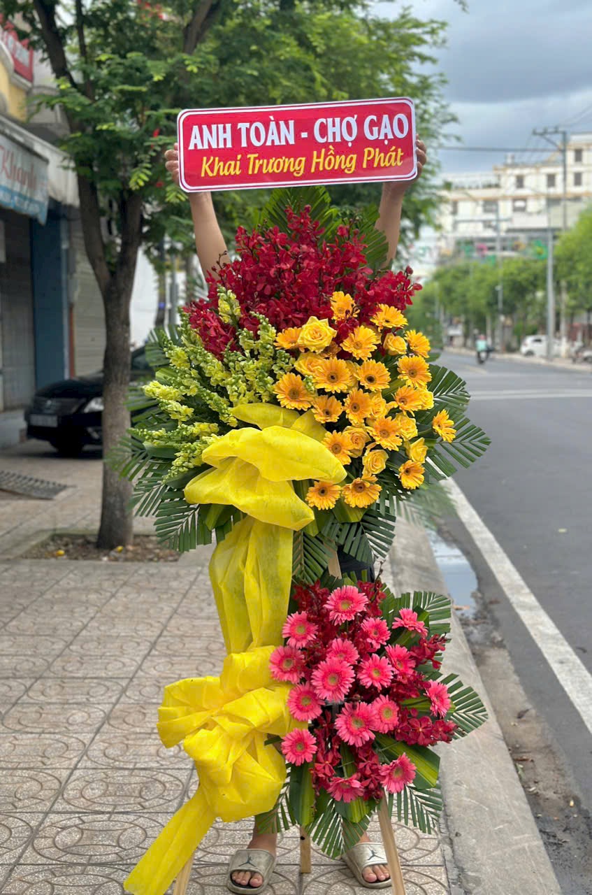 hoa khai truong
