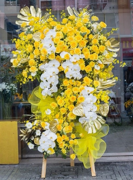 hoa khai truong