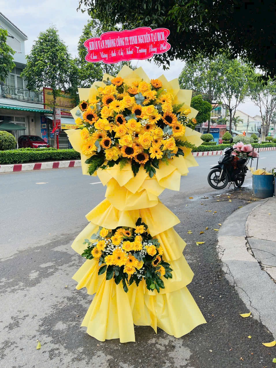 hoa khai truong