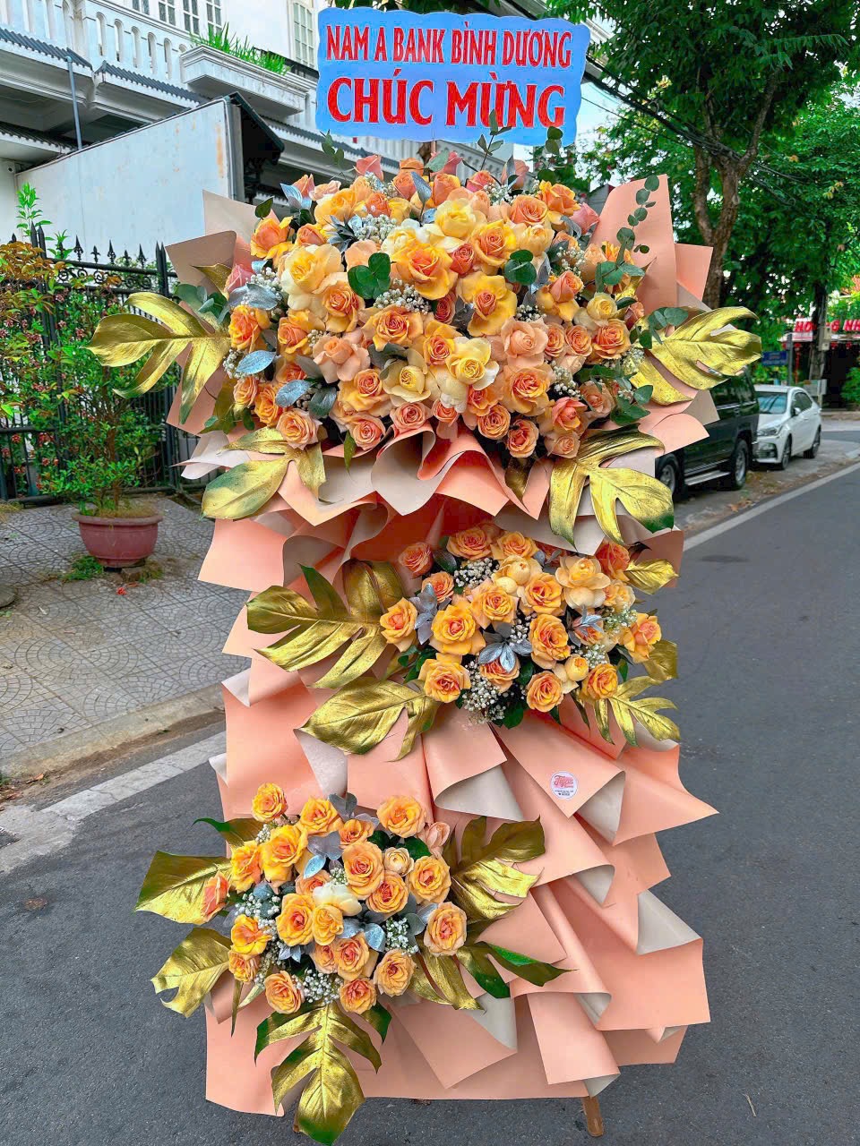 hoa khai truong