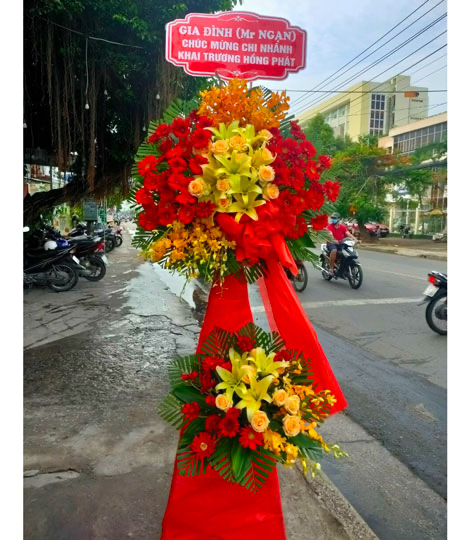 hoa khai truong