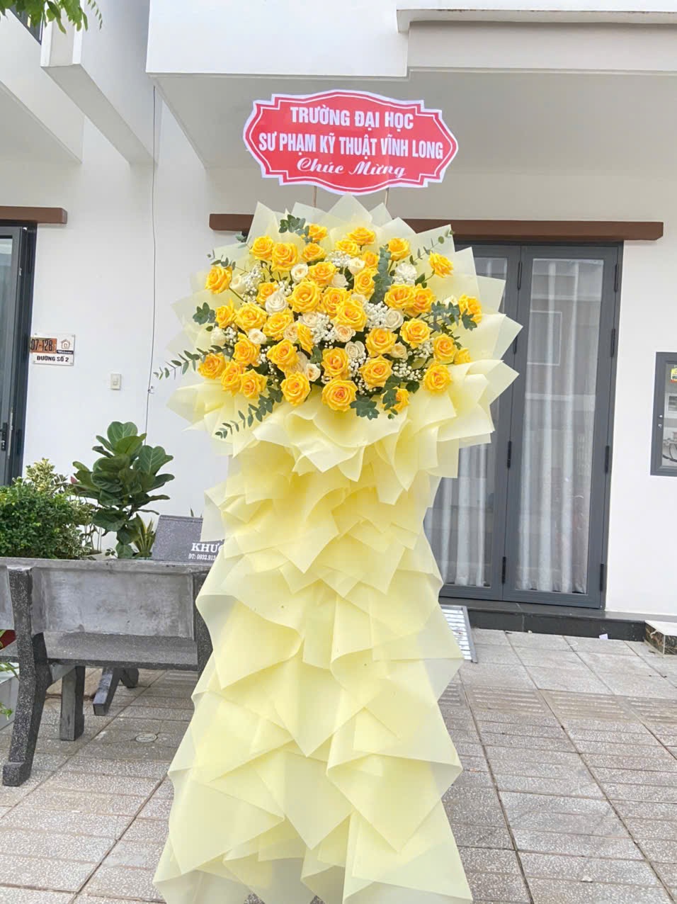 hoa khai truong