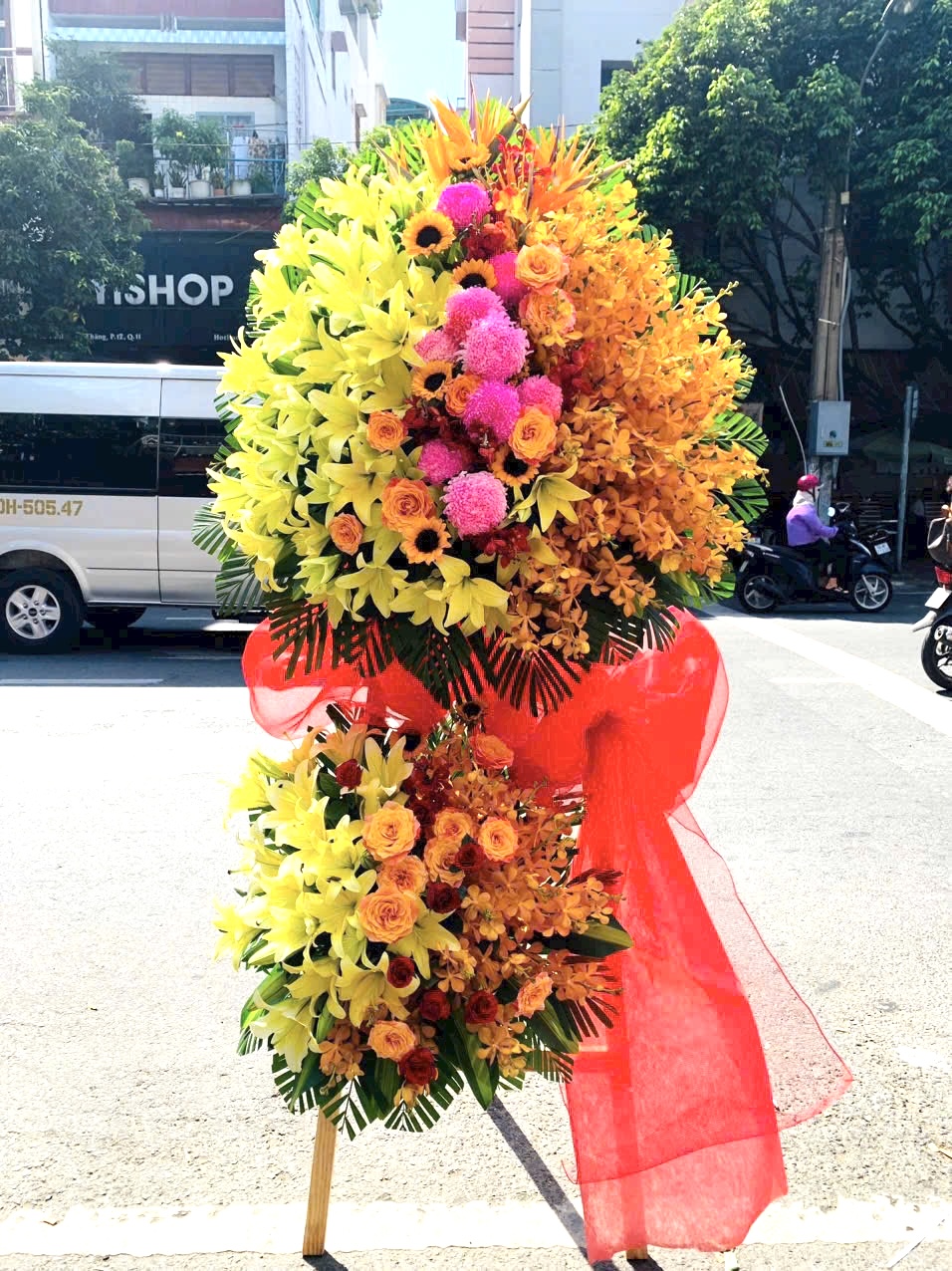 hoa khai truong