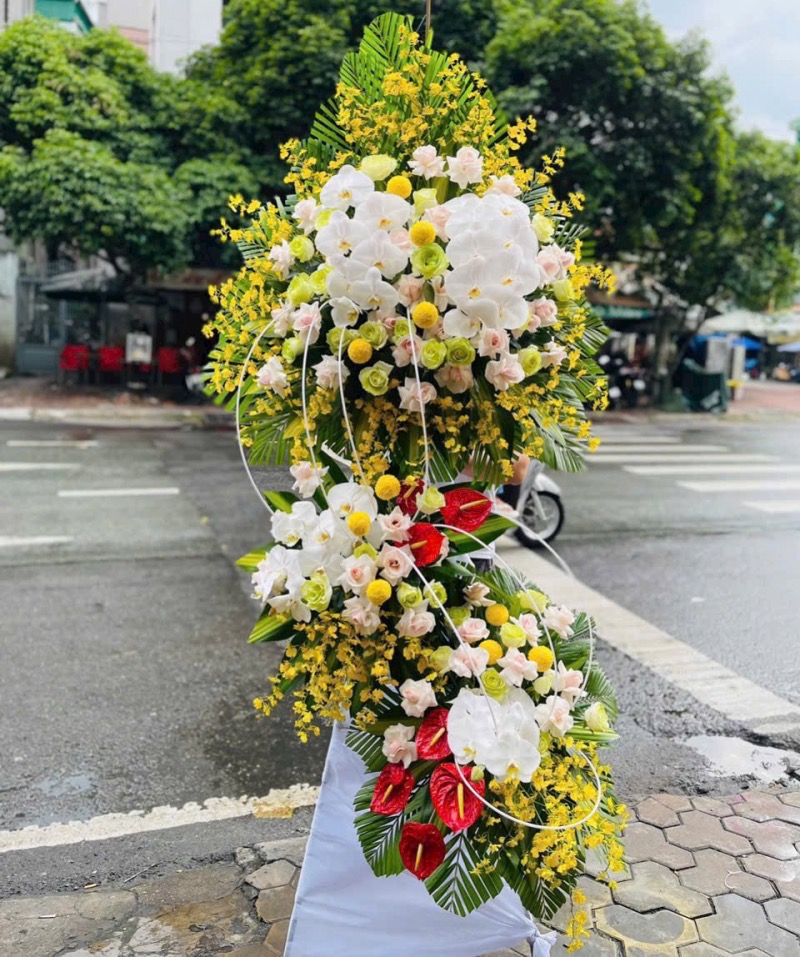 hoa khai truong
