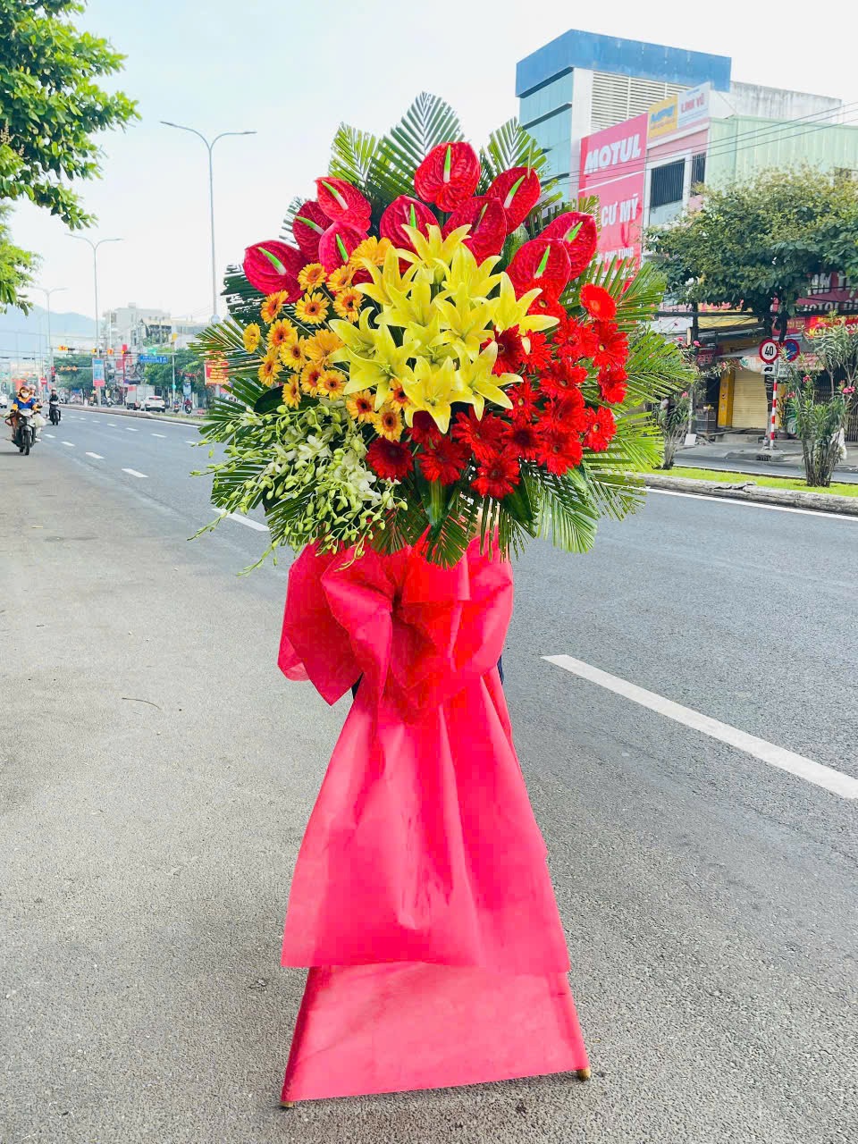 hoa khai truong