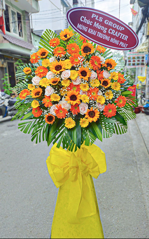 hoa khai truong