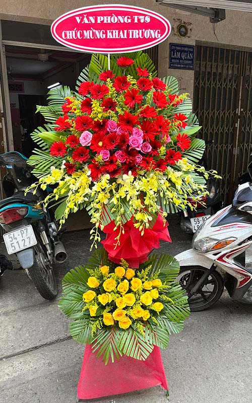 hoa khai truong