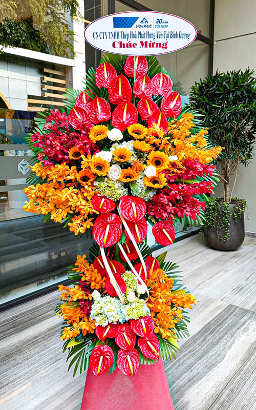 hoa khai truong
