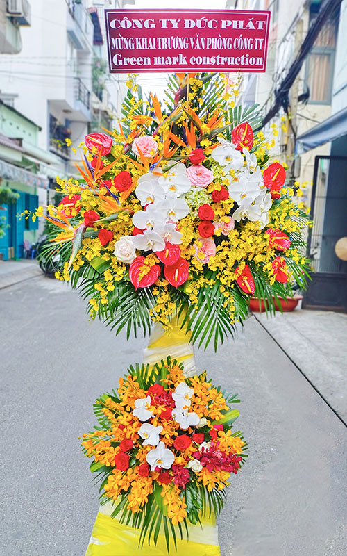 hoa khai truong