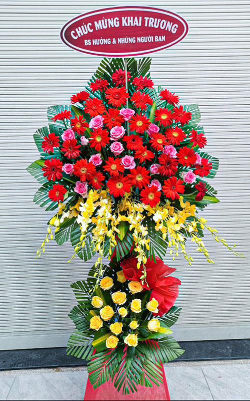 hoa khai truong